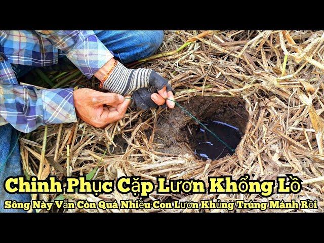 Câu lươn khủng_Chinh phục cặp lươn khổng lồ_Sông này còn quá nhiều lươn khủng_tập841//Giant eels