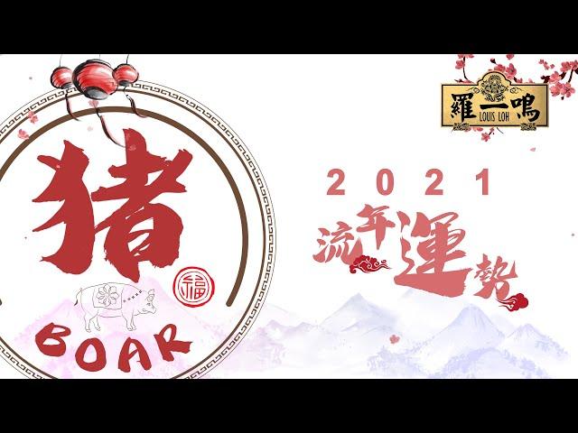 【2021年十二生肖運勢】之“猪“ | Louis Loh 羅一鳴