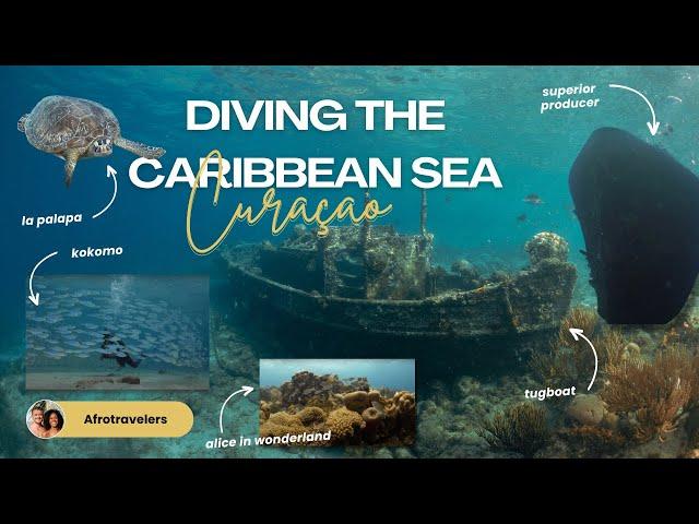 Diving The Caribbean Sea | Curacao