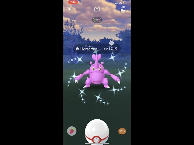 Shiny Heracross (Pokemon Go)