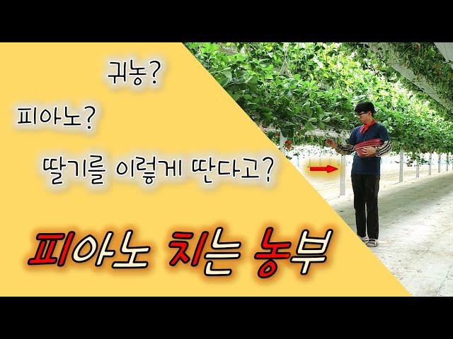 귀농한 딸기 청년농부의 채널소개, 유튜브에 첫 영상을 올리다! 내 이름은 피치농(피아노치는농부)