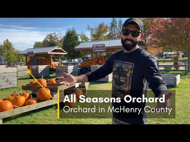 Chicago adventure | all season orchard | apple picking farm Chicago | Chicago travels | Chicago USA