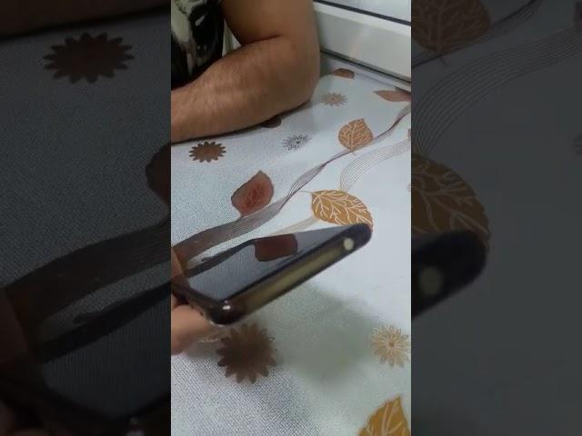 Самый смелый народ в мире!