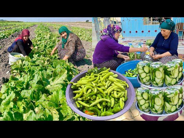 BİDON BİDON LEZZETLİ YEMEKLER İÇİN YAPTIĞIMIZ HALAM'IN KÖY EVİ TURŞU YAPIMI ~ VİLLAGE LİFE VLOG