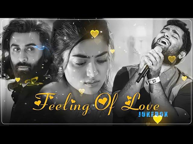 THE LOVE MASHUP 2024 Best Mashup of Arijit Singh, Jubin Nautiyal, Atif Aslam