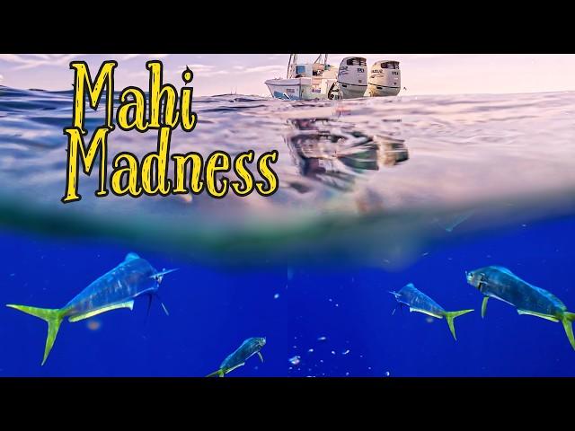 Turn OATS into MAHI | MADNESS Fishing Florida Keys {Catch,Clean,Cook}