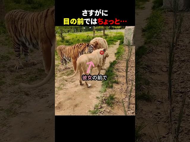 さすがに目の前ではちょっと… #ほっこりショート