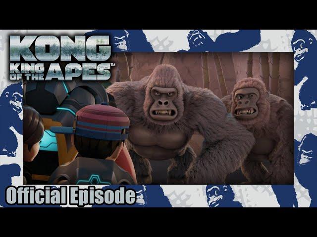 KONG: King of the Apes | S01E16 | Missing | Amazin' Adventures