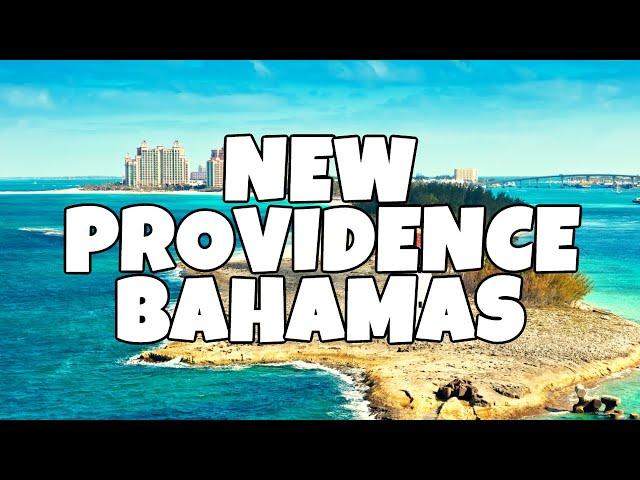 Best Things To Do in New Providence Island Bahamas