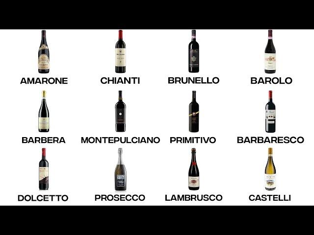 Every ITALIAN wine explained in 12 minutes