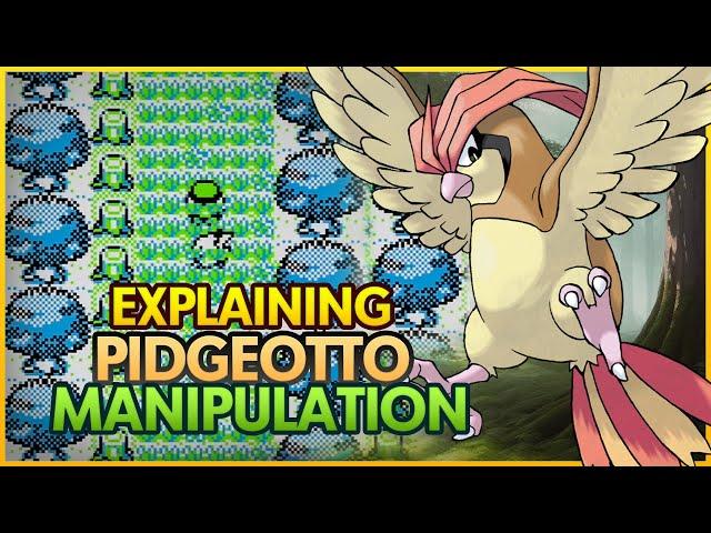 EXPLAINING the NEW PIDGEOTTO MANIPULATION in Pokemon Yellow Speedrunning!