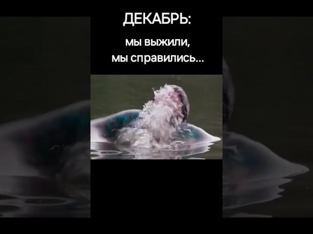 В конце года #рекомендации  #рек  #прикол #shorts #funny