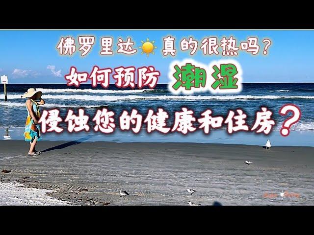 佛罗里达真的很热吗？如何预防潮湿侵蚀您的健康和住房？How to prevent moisture from harming your health and housing?