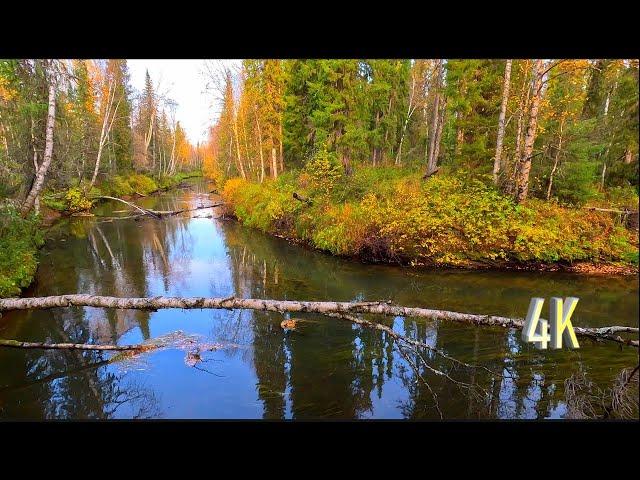 НЕОЖИДАННЫЙ РЕЗУЛЬТАТ ОТ НОВОГО МЕСТА, ХОДОВАЯ РЫБАЛКА | THE UNEXPECTED RESULT OF FISHING