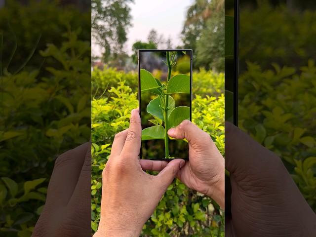 Samsung S24 ultra camera test #shorts