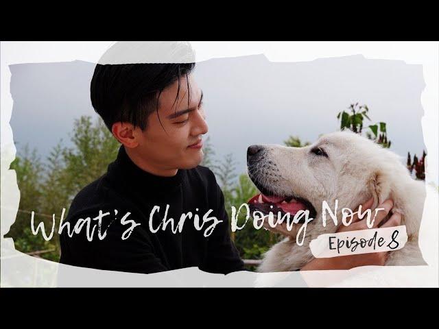 吳承洋ChrisWu-What'S Chris Doing Now EP 8 /Camping Life Part 1