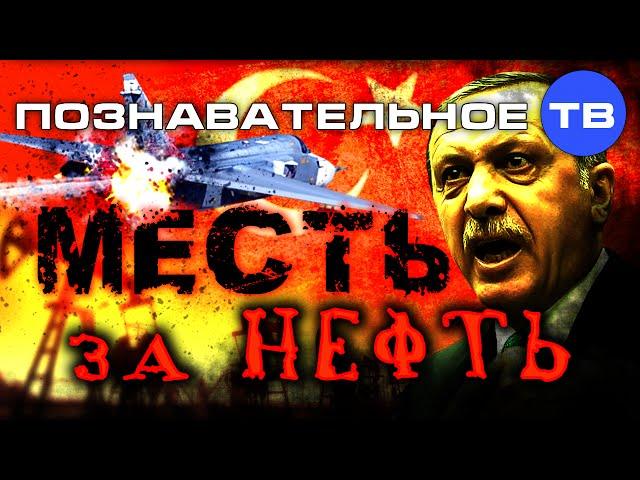 Месть за нефть. Почему Турция сбила российский самолёт? (Познавательное ТВ, Артём Войтенков)