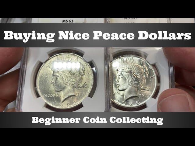 Beginner Coin Collecting - Buying Nice Peace Dollars