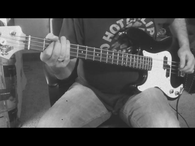 If you could only see - Tonic (Bass Cover)