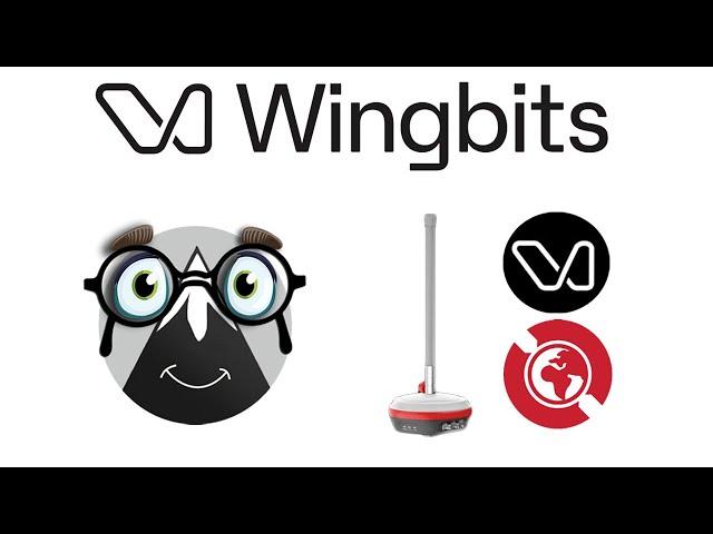 Wingbits Review: New crypto miner | Everything you need to know