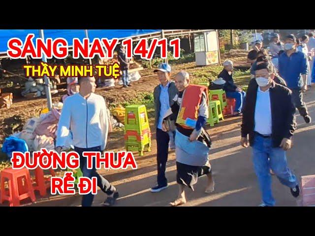 đường thưa người thầy thích minh tuệ rễ ràng đi khất thực