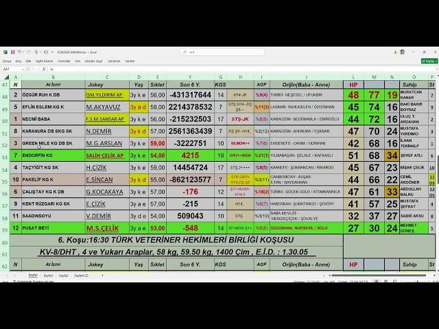 10,09,2024 Ankara At Yarışları Handikap Analiz Bülteni