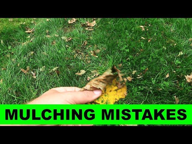 Number one mistake with leaf mulching