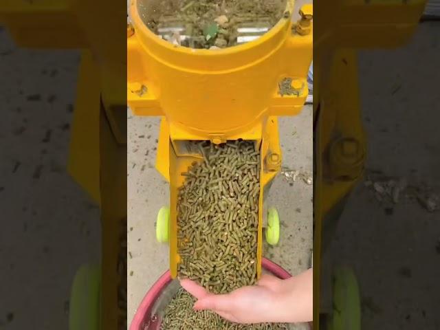#Granulator # Feed Granulator # Small Granulator # Agricultural Machinery # Granulator Manufacturer