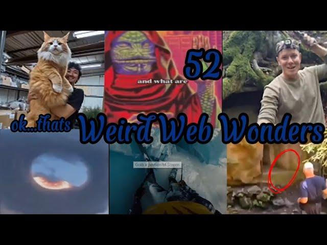 weird web wonders 52