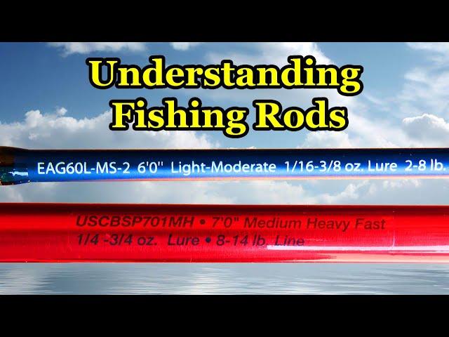 Understanding Fishing Rods and Basics of How to Buy a Fishing Pole