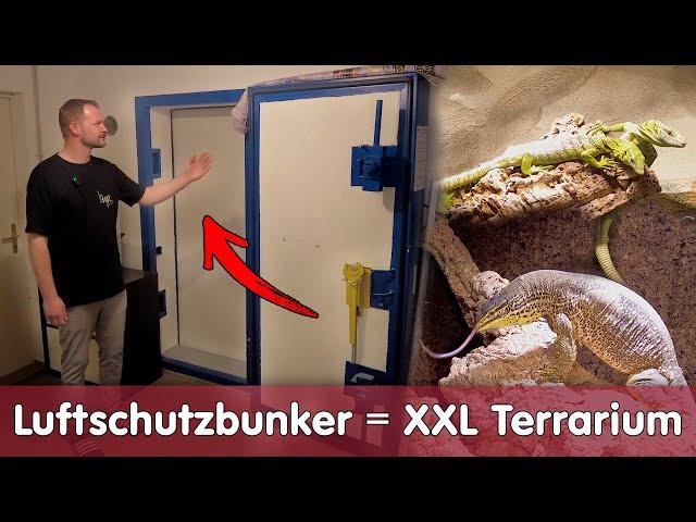 Luftschutzbunker als XXL Terrarium | Homestory Pascal | Teil 1