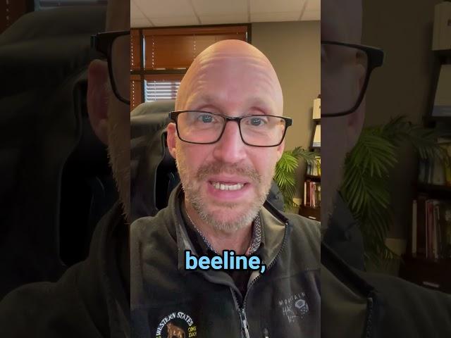 Get that fudge, stories of a bald therapist (1/2)