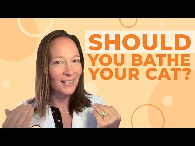 Should You Bathe Your Cat? A Vet's Perspective