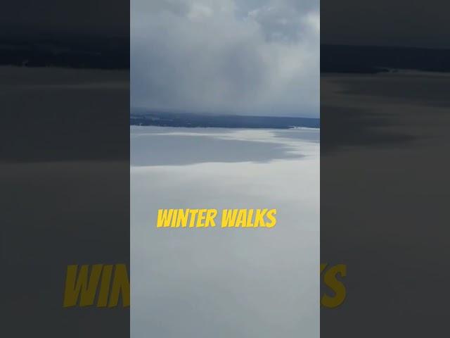 winter walks