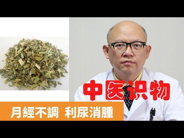 益母草的功效與作用【保健養生】生生不息