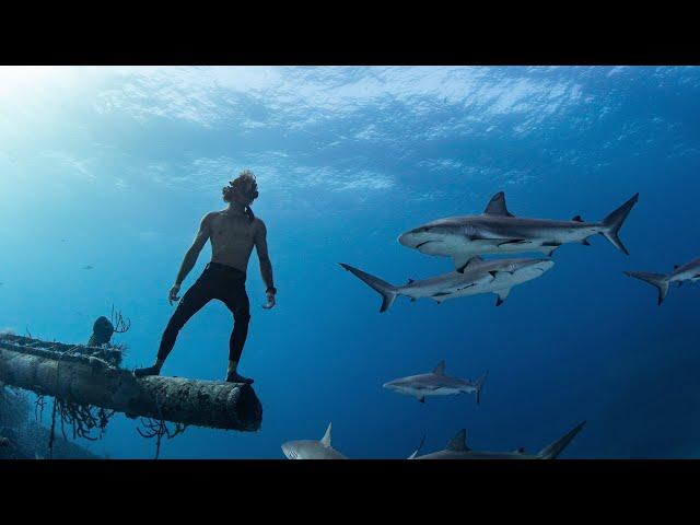 Sharks & Shipwrecks | Freediving The Bahamas