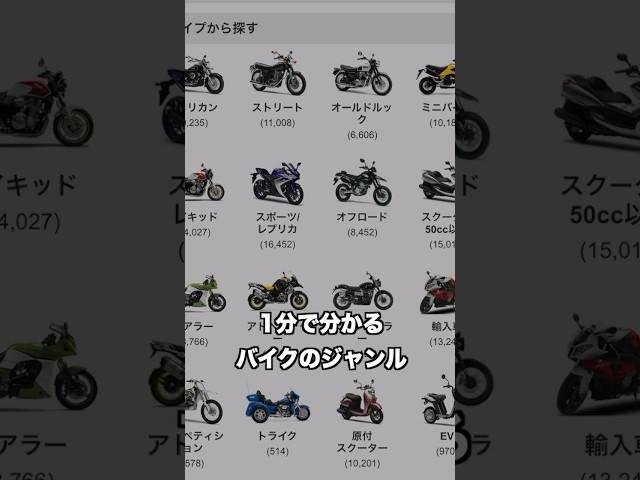 1分で分かる「バイクのジャンル」#shorts