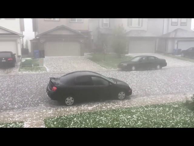 CRAZY GOLFBALL SIZED HAIL STORM IN CALGARY