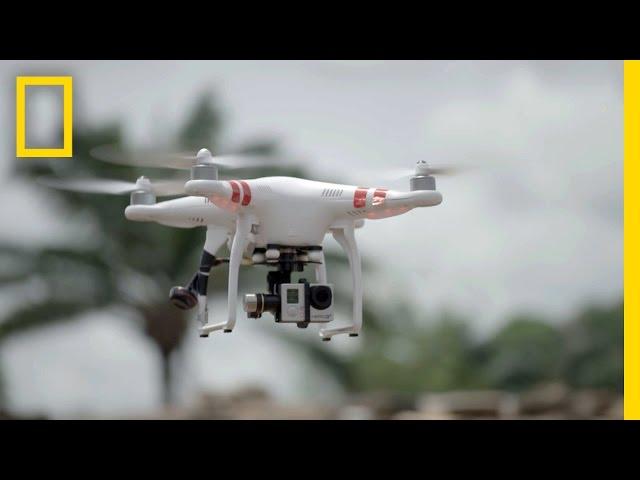 Diversion Helps Drone Spy on Suspected Ivory Trafficking | National Geographic