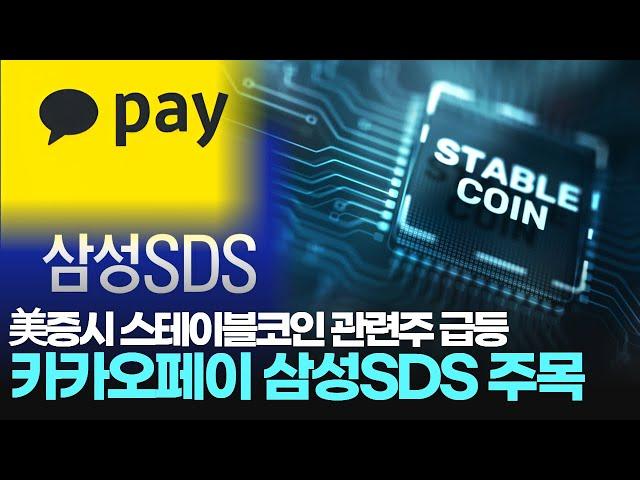 美증시 스테이블코인 관련주 급등 카카오페이 삼성SDS 주목
