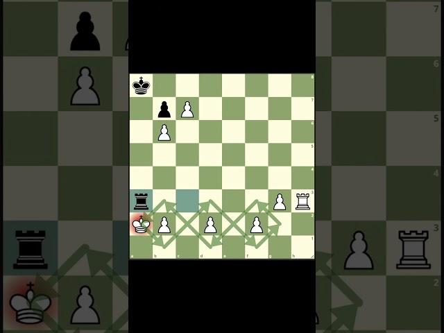 if you can't achieve your goal then make a new plan but always try to achieve your goal#viral #chess