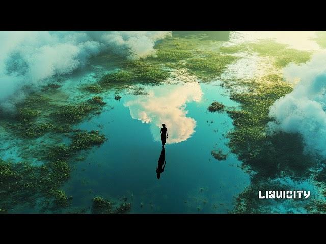 LMX & Kubiks - In Transition (ft. Dani Miche)