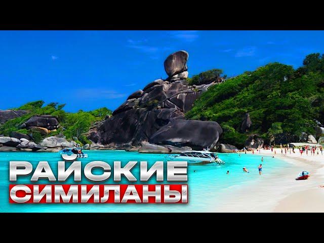 Райские Симиланы обзорТаиландПхукетОстров номер 8 Koh SimilanONLINE TRAVEL SCOUT VLOG