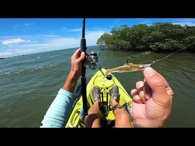 Persistence Pays Off - Saltwater Kayak Fishing Sebastian FL