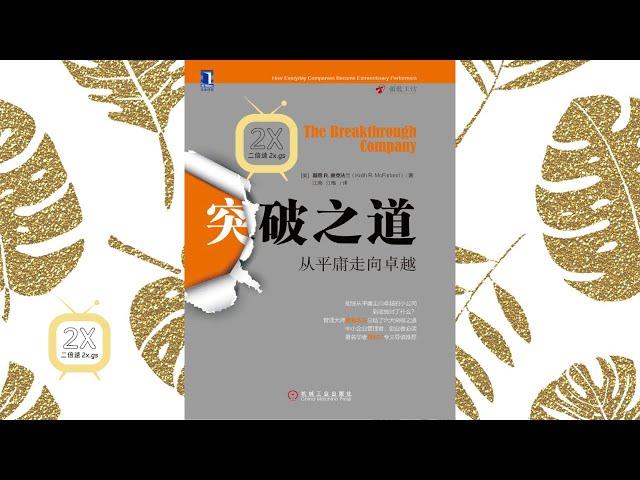 《突破之道: 从平庸走向卓越》| 有声书|小公司如何突破、如何成功的理论方法