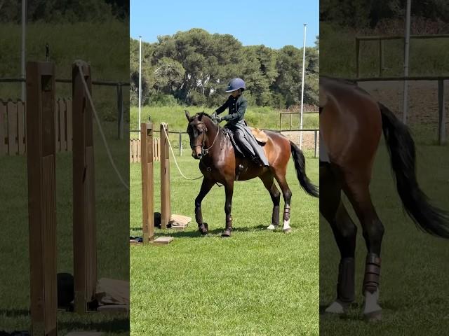 Little Constança & her stallion Dollar! #horse #equestrian #horseaddict