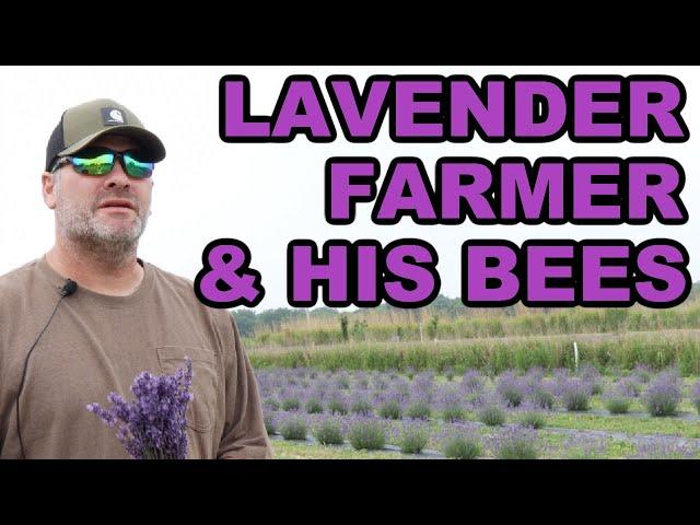 Beekeeping | A Lavender Farmer & His Bees