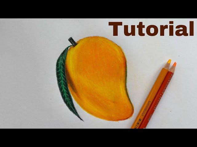 How To Draw A Mango | Color Pencil Tutorial