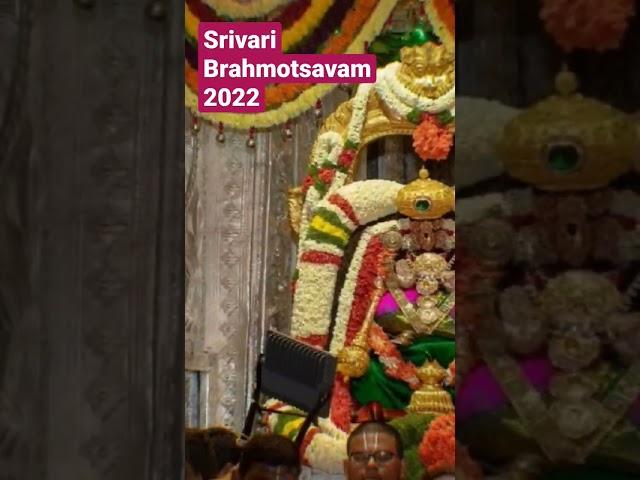 Srivari Brahmotsavam 2022|#tirupati #ttd #tirupatibalaji #brahmotsavam #brahmotsavam2022 #tirumala