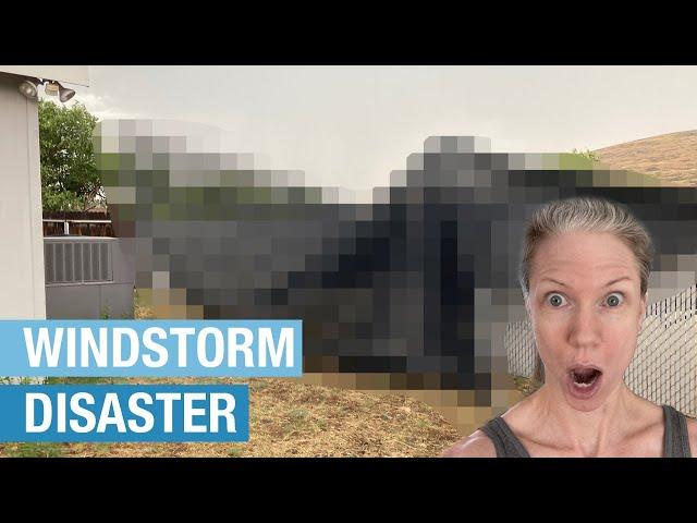 Day 53 & 54 - What Blew into my Backyard?? + Sorting Garage Stuff | Hoarder House Clean Out Vlog